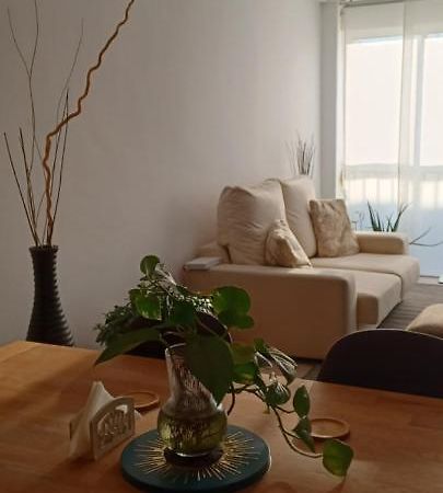 מלגרט דה מאר Apartamento Entero De Tres Habitaciones, Cerca De La Playa! Acogedor, Luminoso Y Tranquilo מראה חיצוני תמונה